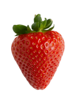 Kes on meie uus maasikas